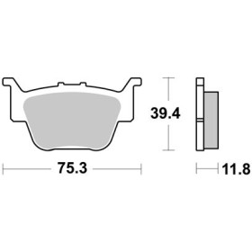 Plaquettes de freins AP RACING 