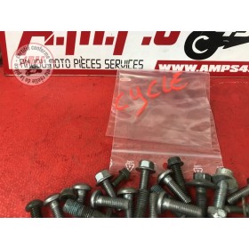 Kit de vis partie cycleR699DX-597-GYB7-B01297943used