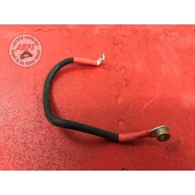 Cable batterie courtDUKE79019FE-965-JKH4-C31301043used