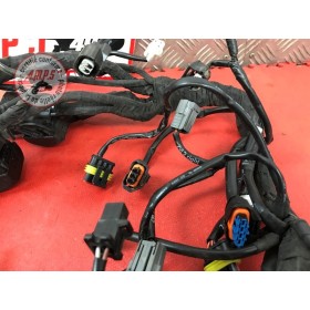 Faisceau électrique principaleDUKE79019FE-965-JKH4-C31301071used