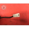 Cable sondeFZ607FH-406-ZKH8-D01301799used