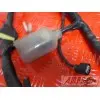 Faisceau Electique 600 CBF 