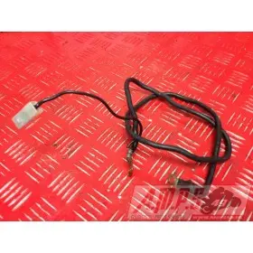Cable de masse R1 00 01