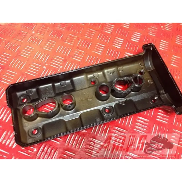 Cache culasse R1 00 01