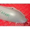 Coque 600 Fazer- pièce moto occasion