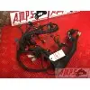 Faisceau moteur. rsv4 r 09 10 11 12