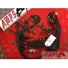 Faisceau moteur. rsv4 r 09 10 11 12
