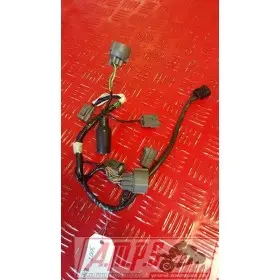 Faisceau moteur 1300 CB