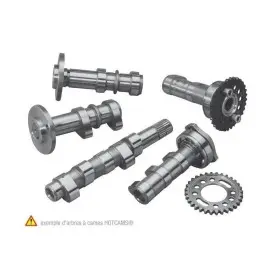 Arbre à cames échappement HOT CAMS - Niveau 1 Yamaha YZ450F