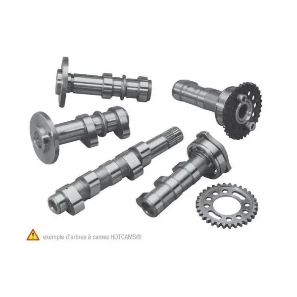 Arbre à cames échappement HOT CAMS - Niveau 1 Yamaha YZ250F