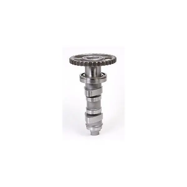 Arbre à cames HOT CAMS - Niveau 1 Honda CRF450R