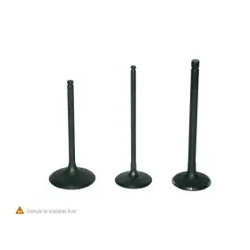 SOUPAPE D'ECHAPPEMENT POUR YFM700 RAPTOR & GRIZZLY 2006-08