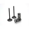 Kit conversion de soupapes d'admission PROX acier - KTM