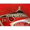 Flanc de carénage Derbi Senda Xtrem- pièce moto occasion