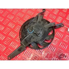 Stock233 - Copie (11)