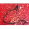 Electricite 900 Trophy T300E 96 97 98 99 - Copie (9)
