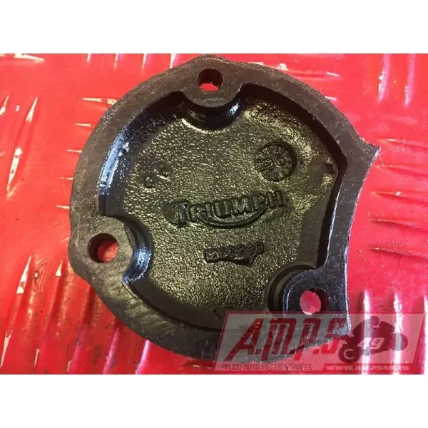 Moteur 900 Trophy T300E 96 97 98 99 - Copie (5)