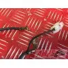 Cable de masse FZ6 04 05 06