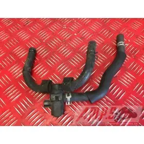 Bloc électrovanne SAI FZ6 04 05 06