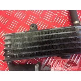 MOTEUR RSV10034591SV08 - Copie (55)