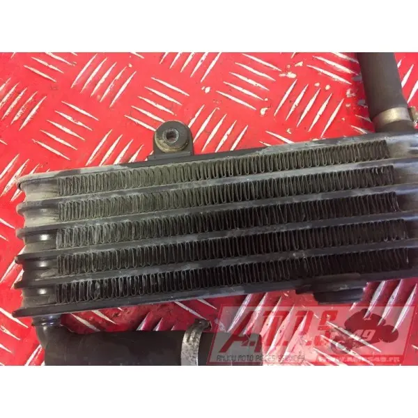 Radiateur d'huile gauche RSV 1000 04 05
