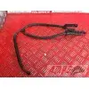 Durite de frein arrière R6 06 07