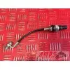 Sonde de pression d'huile 899 13 14 15