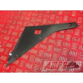 CARROSSERIE RSV4 APRC 09 10 11 - Copie (28)