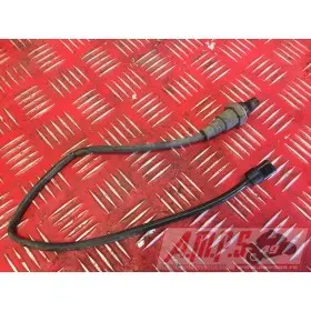 Z750RBQ-905-RG - Copie (8)