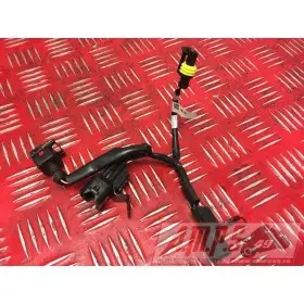 Faisceau moteur 675 Street Triple 13 14 15