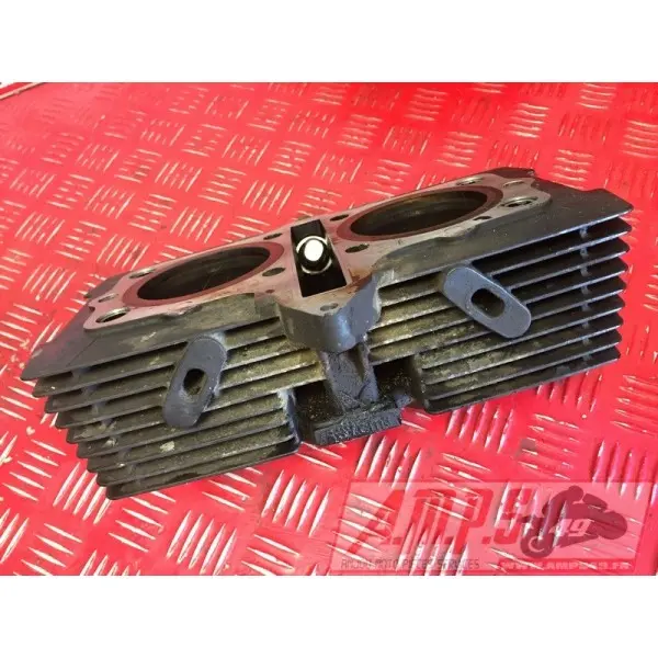Bloc cylindres avec pistons 500 GSE 1989 à 2000