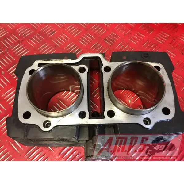 Bloc cylindres avec pistons 500 GSE 1989 à 2000