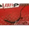 Cable de masse 650 SV 2003 à 2009