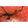 Faisceau moteur RSV4 R 09 10 11 12