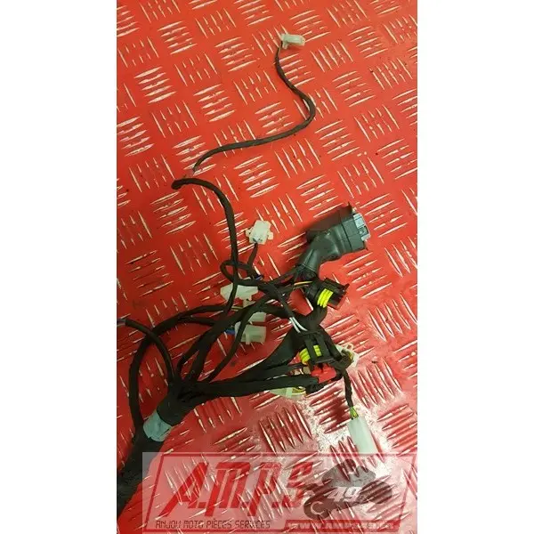 Faisceau principal RSV4 R 09 10 11 12