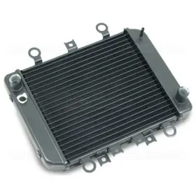 RADIATEUR KAWAZAKI ER-5 1996-