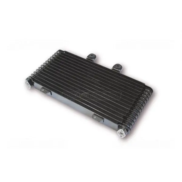 RADIATEUR REFROIDISSEUR D'HUILE SUZUKI 1200 Bandit 2001-2005