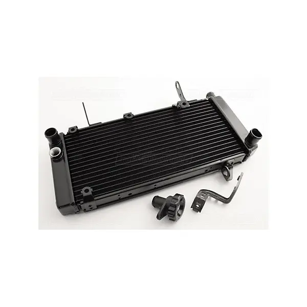 RADIATEUR SUZUKI 1000 SVS 2003-2006