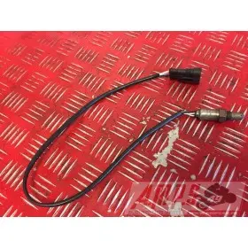 Sonde lambda 959 Panigale 2016 2017