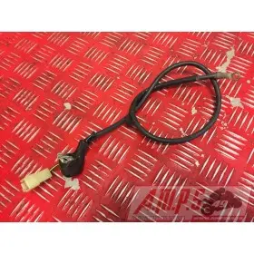 Fil de masse Z 750 2008 - 2012