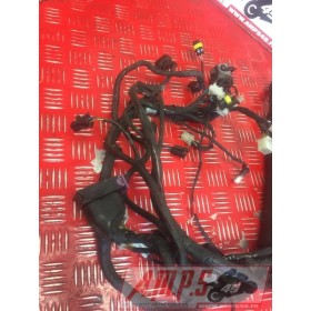 Faisceau électrique principale RSV4 R 2009 - 2011