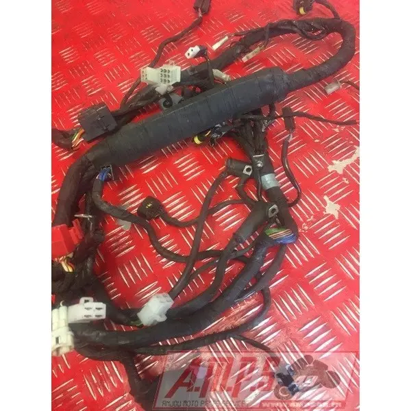 Faisceau électrique principale RSV4 R 2009 - 2011