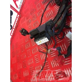 Faisceau électrique principal RSV4 R 2009 - 2011