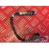 Sonde lambda RSV4 R 2009 - 2011