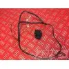 Prise allume cigare CBR 954 2002 - 2003 ( SC50 )