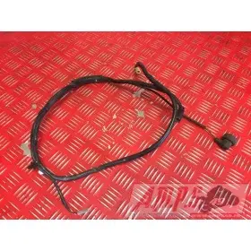 Cable de masse SV 1000 N 2003 à 2007
