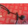 Cable de masse SV 1000 N 2003 à 2007