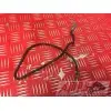 Cable de masse CBR 954 2002 - 2003