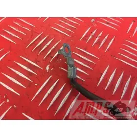 Cable de masse CBR 954 2002 - 2003