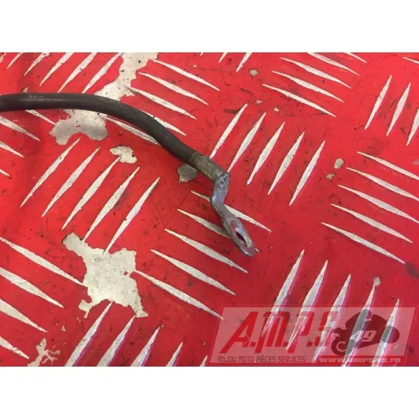 Cable de masse CBR 954 2002 - 2003
